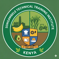 Songambele Technical Training Institute