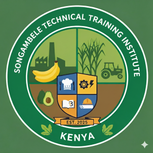STTI